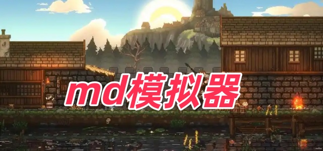 md模拟器