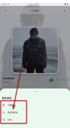 飞鸟轻音