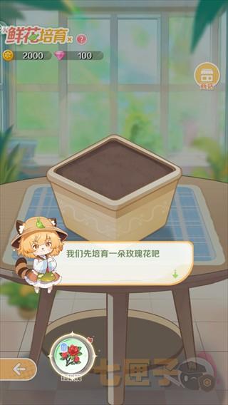 明星花店