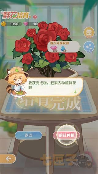 明星花店