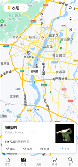 渔获天气预报