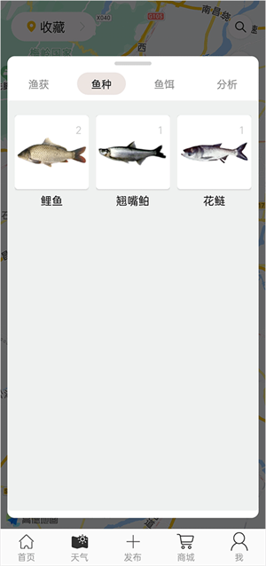 渔获天气预报