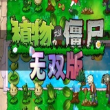 植物大战僵尸无双版正式版