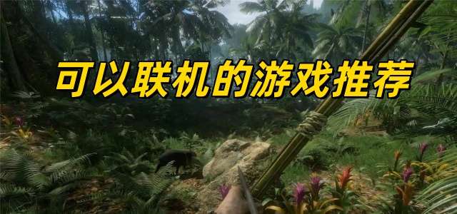 可以联机的游戏推荐