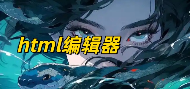 html编辑器