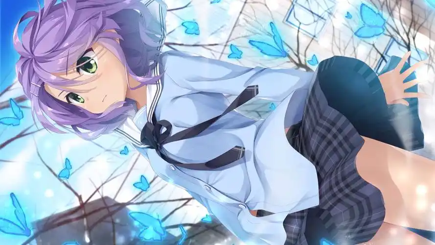 星光咖啡馆与死神之蝶手机版
