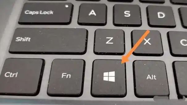 taskhomie截图3