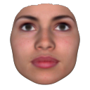 FaceGenArtist