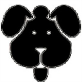 磁力狗bt