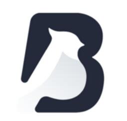 百灵创作pc版