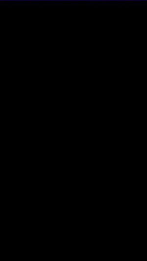 紫海豚模拟器mmj截图6