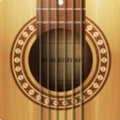 RealGuitar