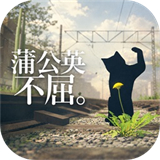 蒲公英不屈