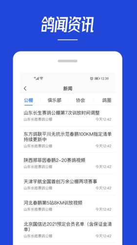 青鸽网查询截图3