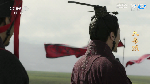 神鸟电视tv截图3