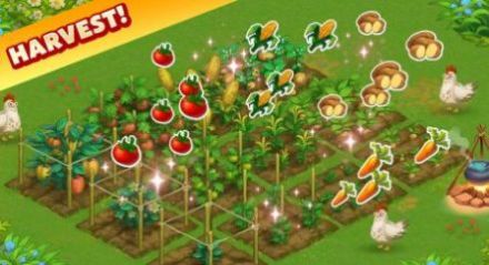 家庭冒险农场截图3