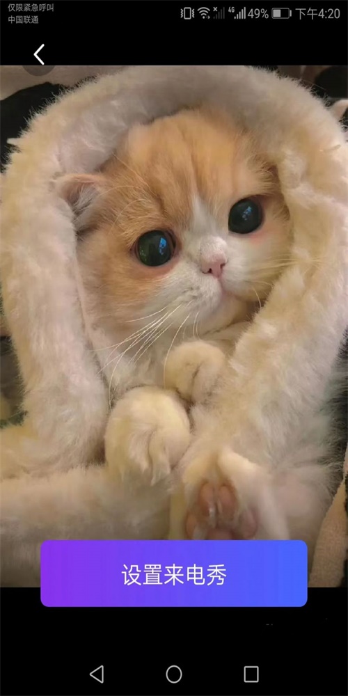 来电有喜截图3
