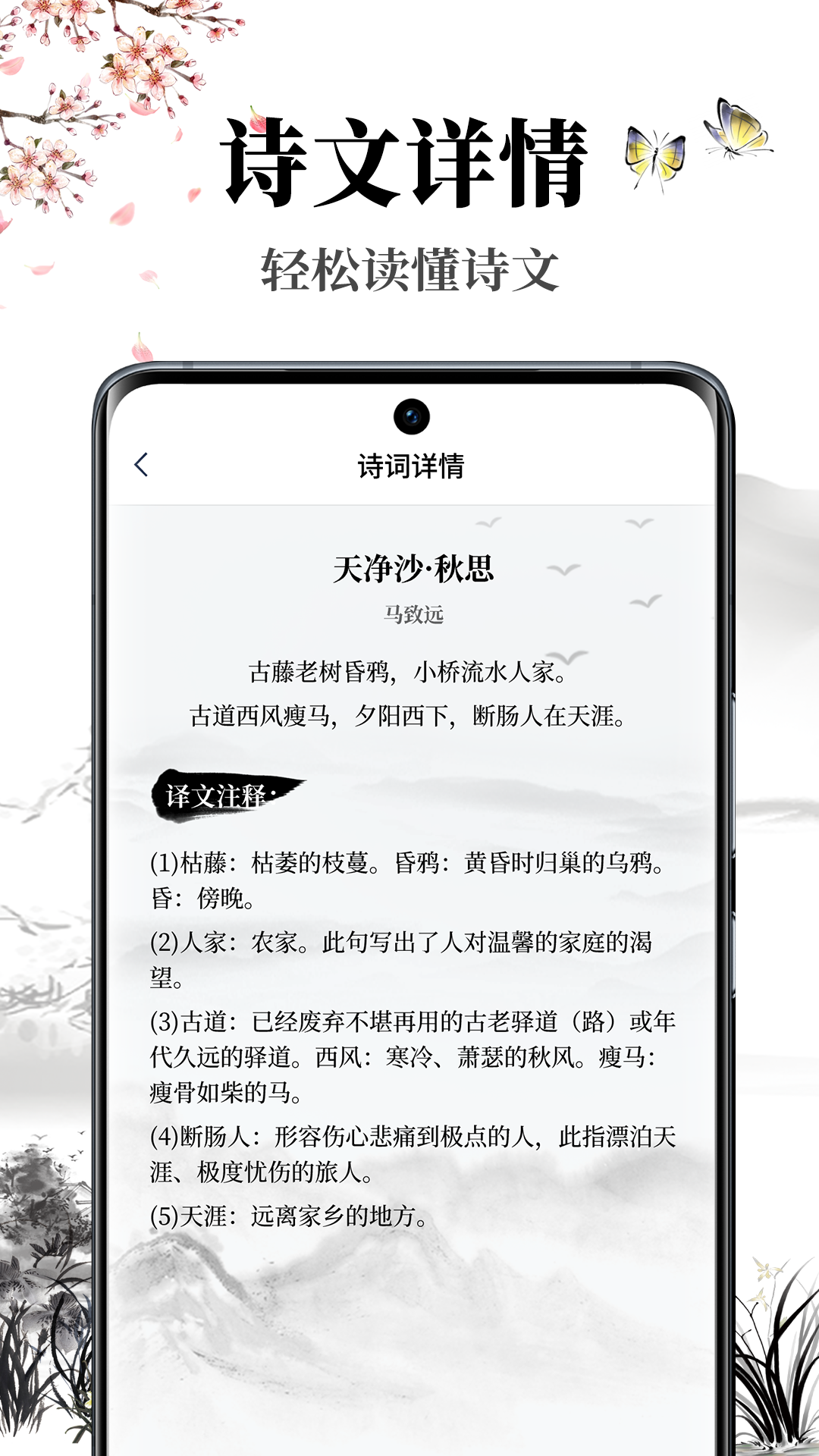 雅歌截图3