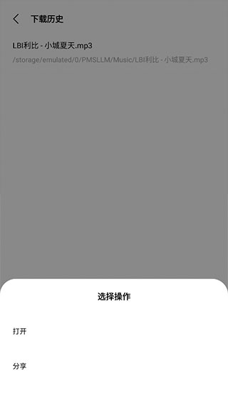 歌词适配手机版截图3