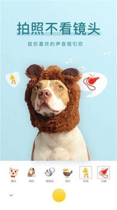 萌仔相机手机版截图3