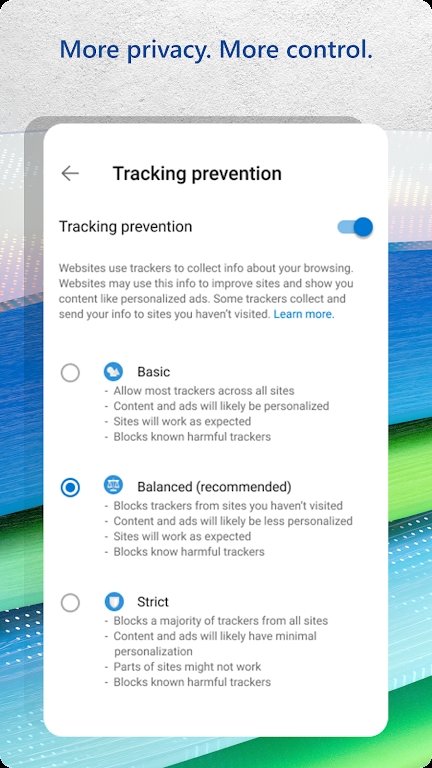 微软浏览器截图3