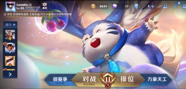 王者荣耀会员成长等级查看方法