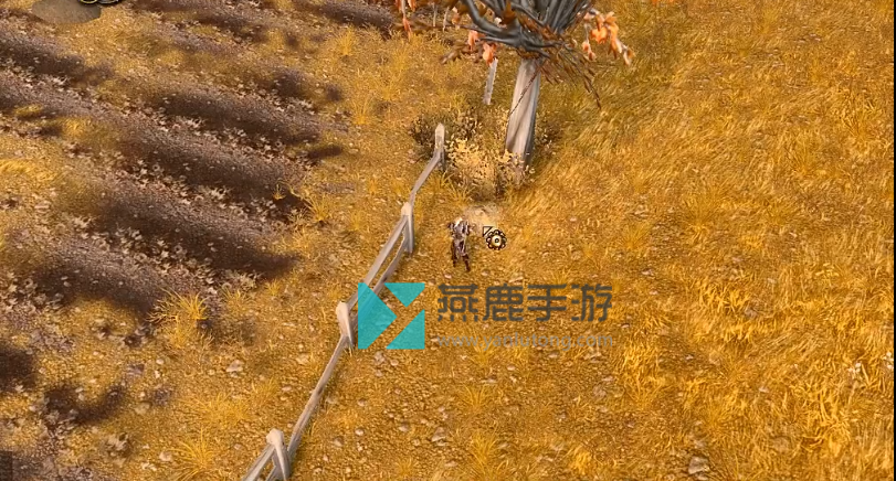 魔兽世界燕麦获得位置介绍