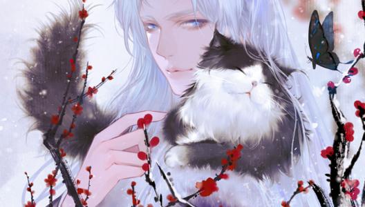 灵猫传能够让大家以极其快的速度得到金钱的方法