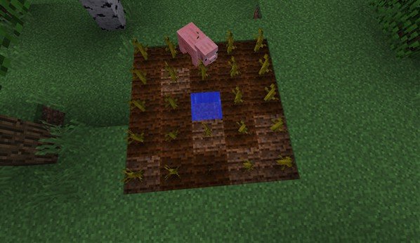 我的世界不用登录版