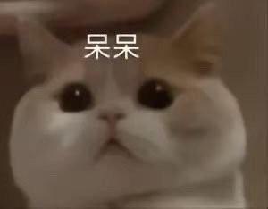 抖音哈基米梗什么意思