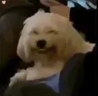 白展堂放荡又没礼貌的奸笑表情包