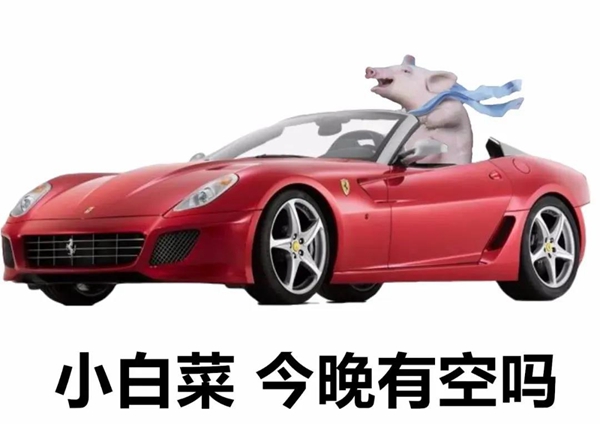 小白菜今晚有空吗法拉利表情包